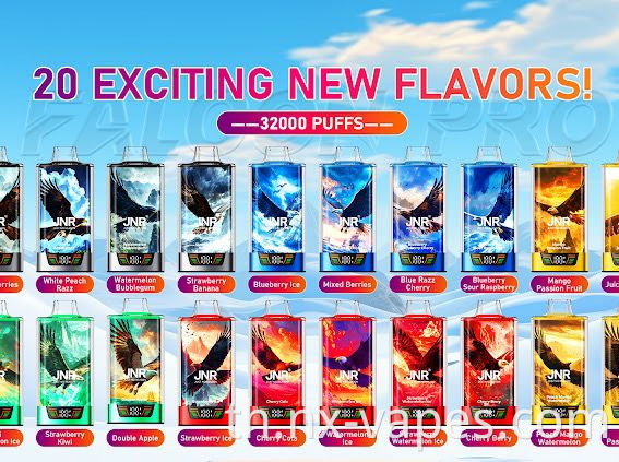 JNR Falcon Pro 28000 (2)